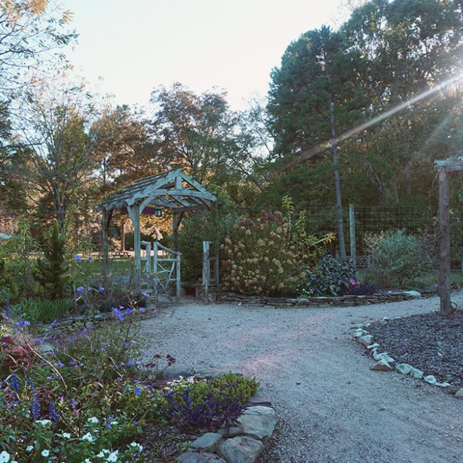 View from inside the garden looking the direction of the gate