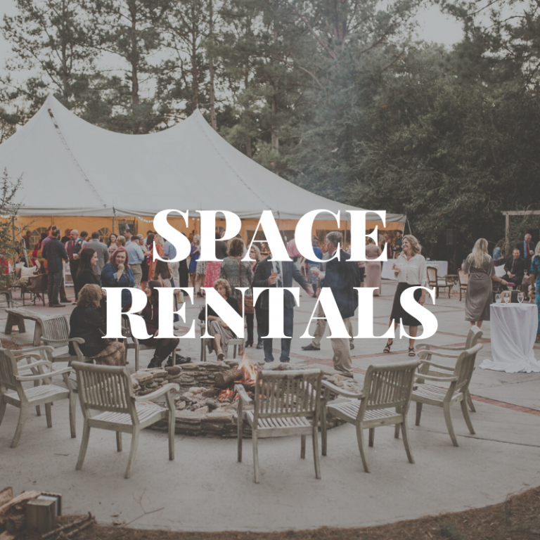 Timberlake Earth Sanctuary gallery photo 3 — Forest Wedding Venue in Whitsett, NC