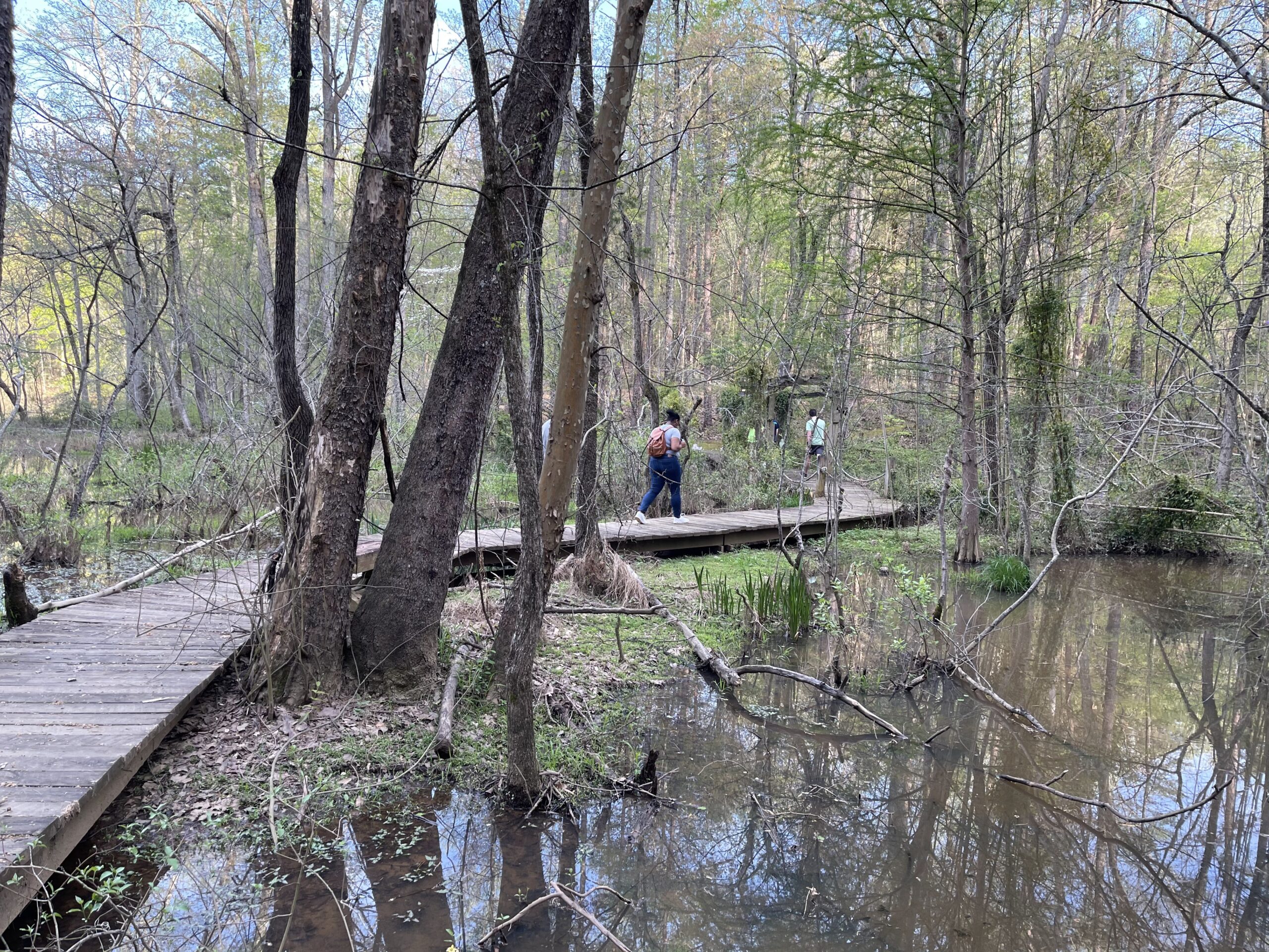 NATURE | LAND - TIMBERLAKE EARTH SANCTUARY